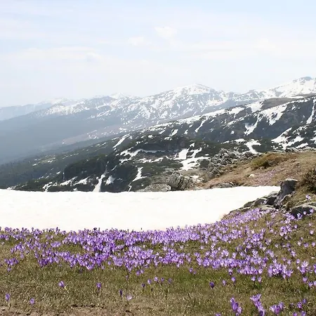 Rilski Ezera Hut Хижа *