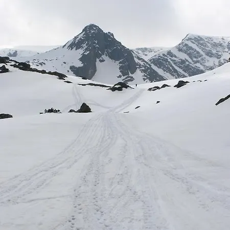 Rilski Ezera Hut Паничище