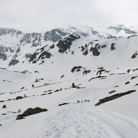 Rilski Ezera Hut Паничище